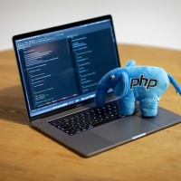 An In-Depth Exploration of PHP's Strength and Versatility